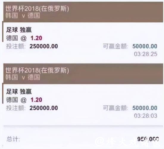 世界杯投注平台风险提示及规避方法 世界杯投注平台风险提示及规避方法